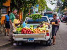 dominican fruit sellers