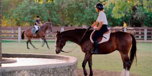 sea-horse-ranch-equestrian-center